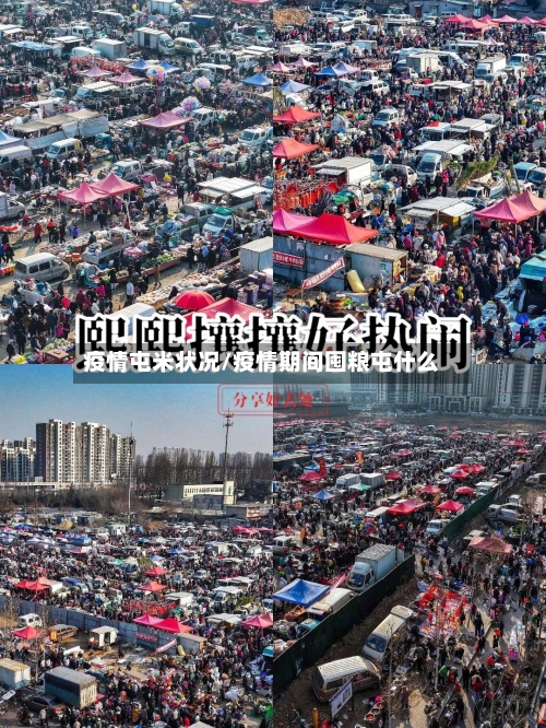 疫情屯米状况/疫情期间囤粮屯什么-第3张图片