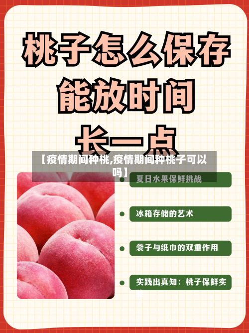 【疫情期间种桃,疫情期间种桃子可以吗】