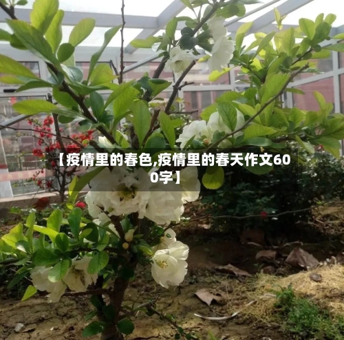 【疫情里的春色,疫情里的春天作文600字】-第3张图片
