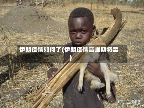 伊朗疫情如何了(伊朗疫情高峰期将至)-第2张图片