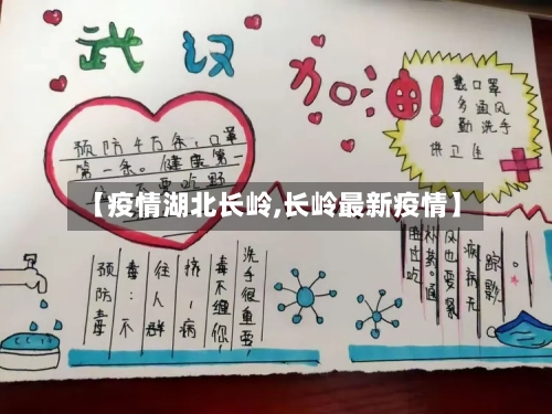 【疫情湖北长岭,长岭最新疫情】-第2张图片