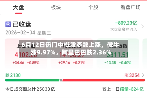 6月12日热门中概股多数上涨，微牛涨9.97%，阿里巴巴跌2.36%-第2张图片