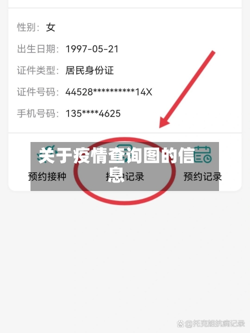 关于疫情查询图的信息-第2张图片