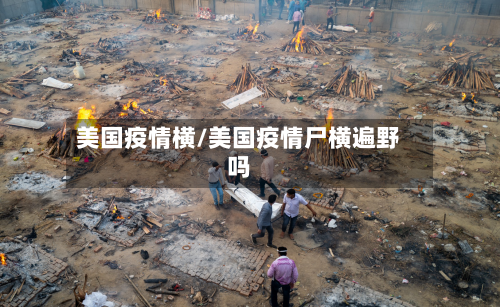 美国疫情横/美国疫情尸横遍野吗