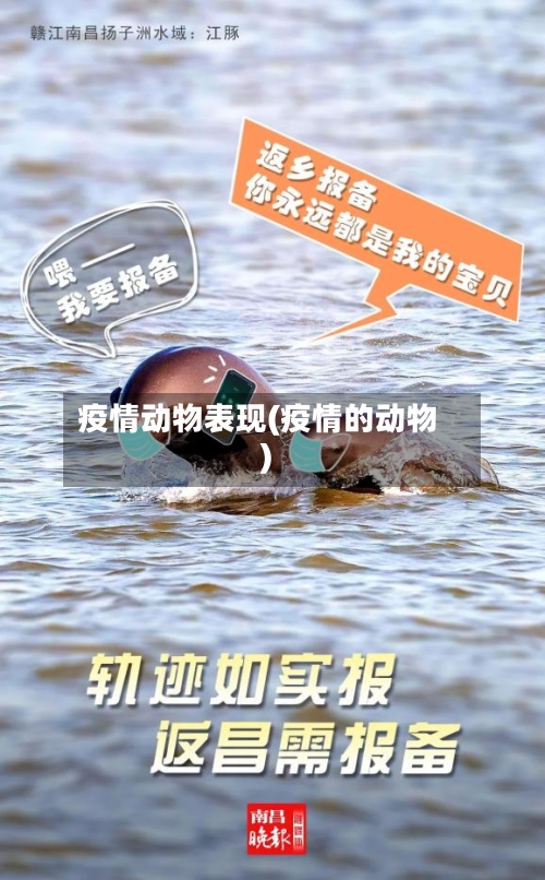 疫情动物表现(疫情的动物)
