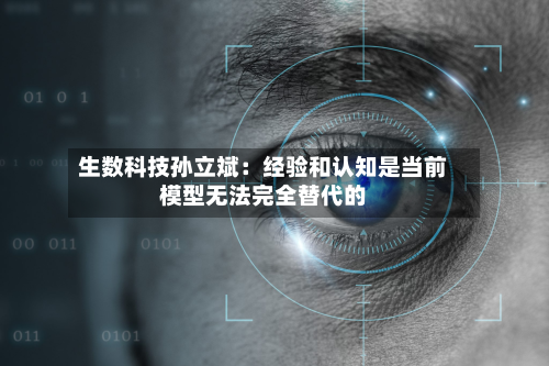 生数科技孙立斌：经验和认知是当前模型无法完全替代的-第3张图片