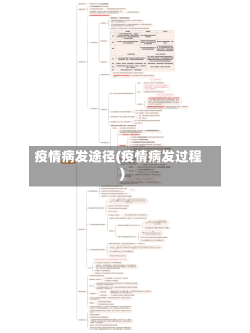 疫情病发途径(疫情病发过程)-第2张图片