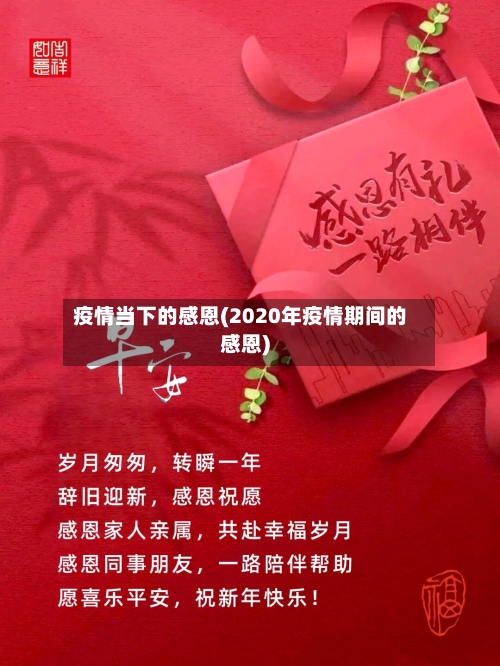 疫情当下的感恩(2020年疫情期间的感恩)-第2张图片