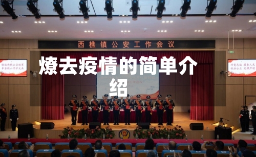 燎去疫情的简单介绍