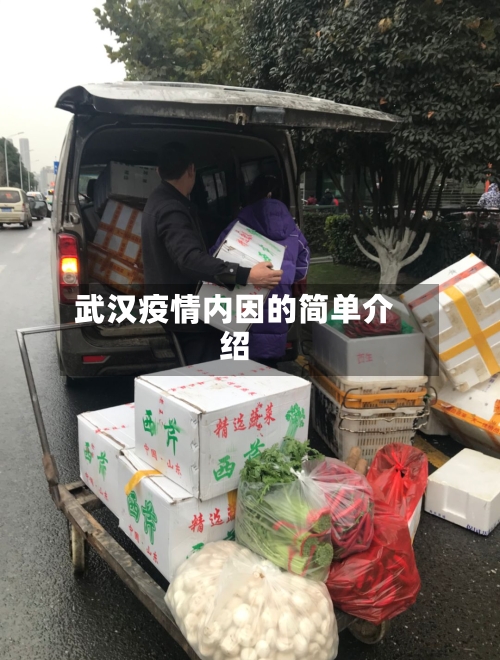武汉疫情内因的简单介绍