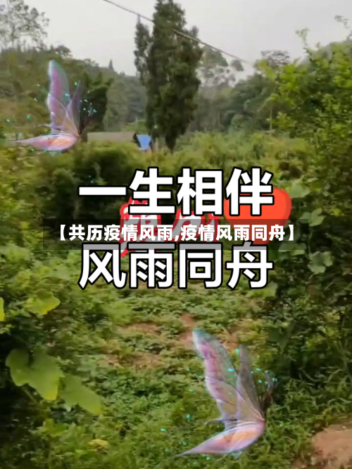 【共历疫情风雨,疫情风雨同舟】