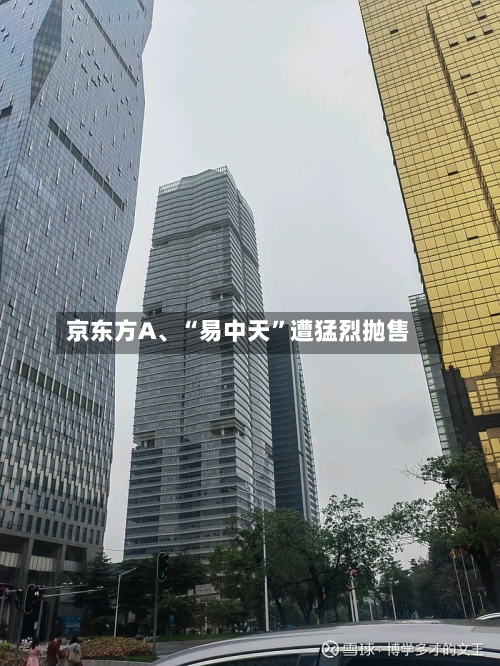 京东方A、“易中天”遭猛烈抛售-第2张图片