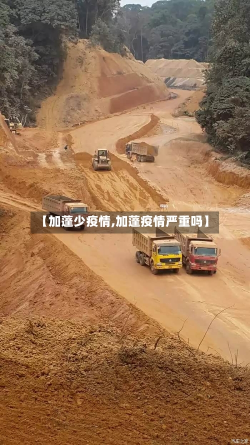 【加蓬少疫情,加蓬疫情严重吗】-第2张图片
