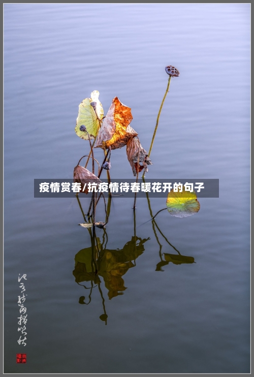 疫情赏春/抗疫情待春暖花开的句子-第2张图片