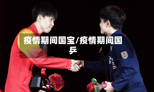 疫情期间国宝/疫情期间国乒
