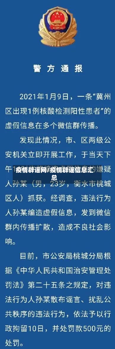疫情辟谣网/疫情辟谣信息汇总