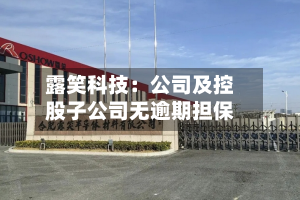 露笑科技：公司及控股子公司无逾期担保-第2张图片