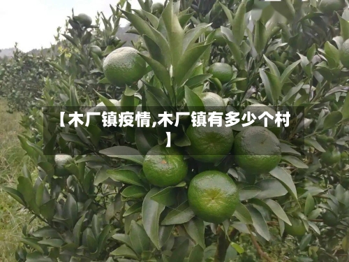 【木厂镇疫情,木厂镇有多少个村】