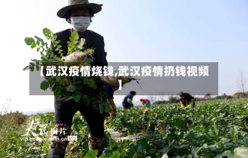 【武汉疫情烧钱,武汉疫情扔钱视频】