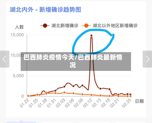 巴西肺炎疫情今天/巴西肺炎最新情况