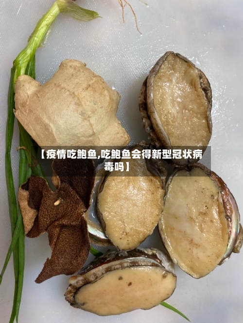 【疫情吃鲍鱼,吃鲍鱼会得新型冠状病毒吗】-第3张图片