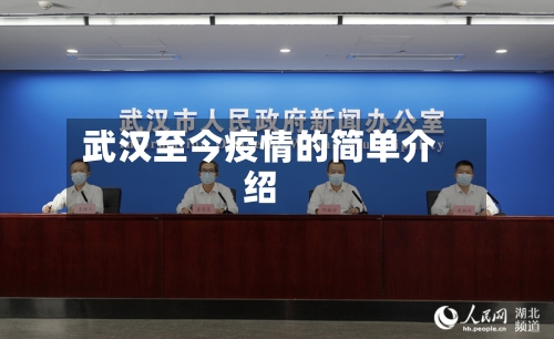 武汉至今疫情的简单介绍-第3张图片