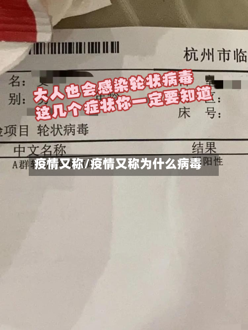 疫情又称/疫情又称为什么病毒-第2张图片