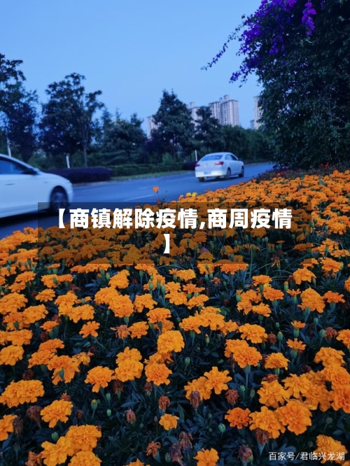 【商镇解除疫情,商周疫情】-第3张图片