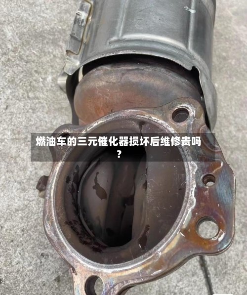 燃油车的三元催化器损坏后维修贵吗？-第2张图片