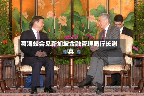 葛海蛟会见新加坡金融管理局行长谢啇真-第3张图片