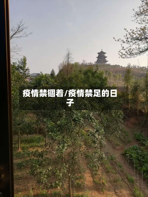 疫情禁锢着/疫情禁足的日子