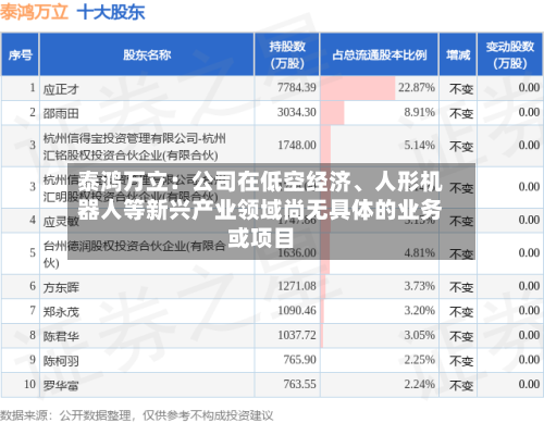 泰鸿万立：公司在低空经济	、人形机器人等新兴产业领域尚无具体的业务或项目-第2张图片