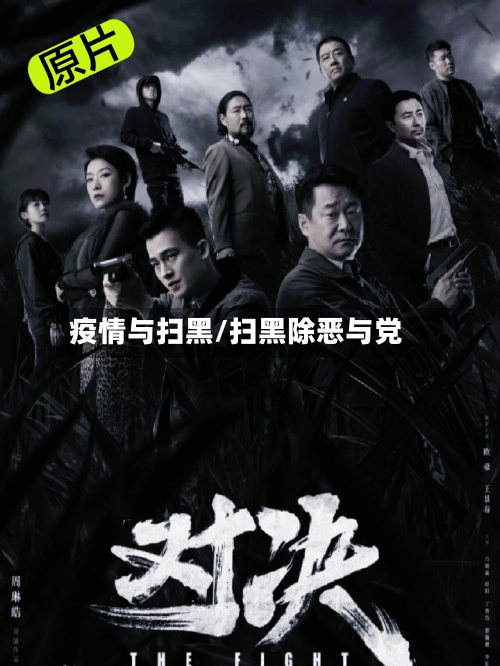 疫情与扫黑/扫黑除恶与党-第2张图片
