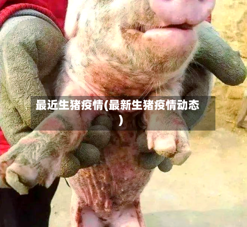 最近生猪疫情(最新生猪疫情动态)-第2张图片