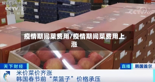 疫情期间菜费用/疫情期间菜费用上涨