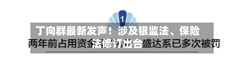 丁向群最新发声！涉及银监法、保险法修订出台-第3张图片
