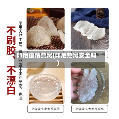 印尼疫情燕窝(印尼燕窝安全吗)