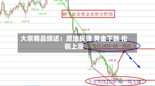 大宗商品综述：原油反弹 黄金下跌 伦铜上涨-第3张图片