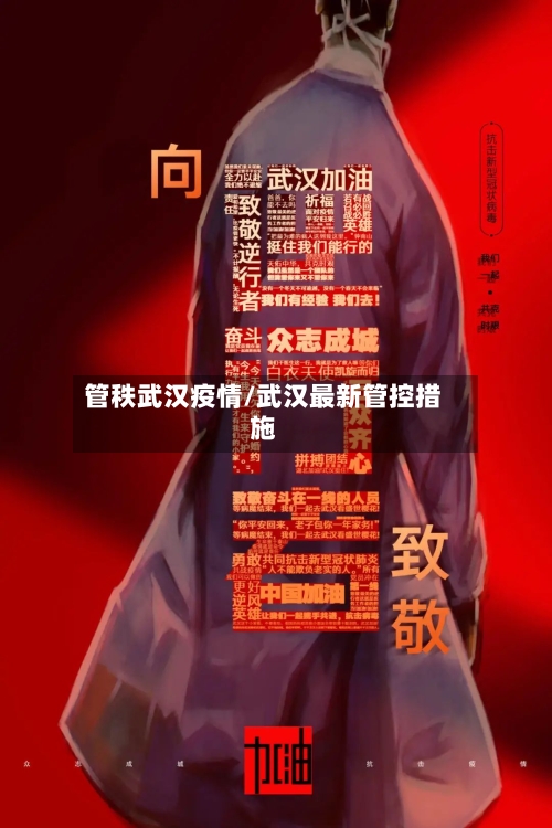 管秩武汉疫情/武汉最新管控措施