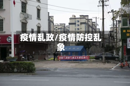 疫情乱政/疫情防控乱象