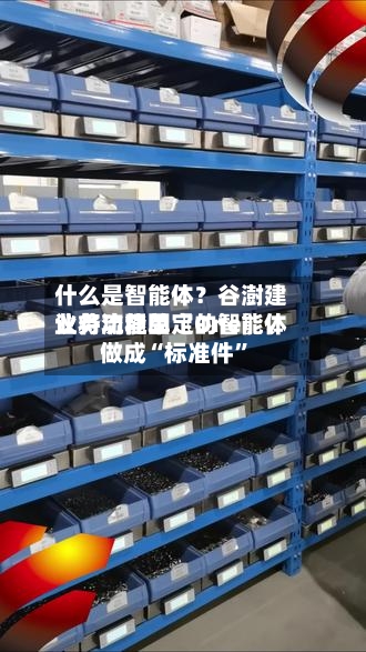什么是智能体？谷澍建议将功能单〖One〗、业务流程固定的智能体做成“标准件	”-第3张图片