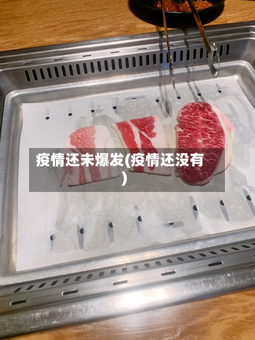 疫情还未爆发(疫情还没有)-第3张图片