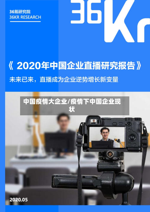 中国疫情大企业/疫情下中国企业现状