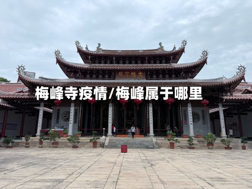 梅峰寺疫情/梅峰属于哪里