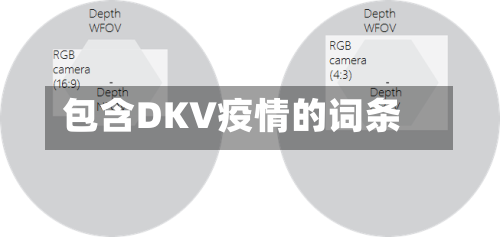 包含DKV疫情的词条-第3张图片