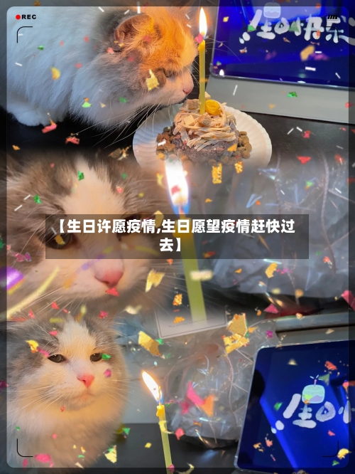 【生日许愿疫情,生日愿望疫情赶快过去】-第3张图片