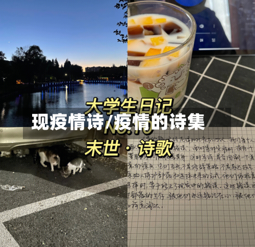 现疫情诗/疫情的诗集
