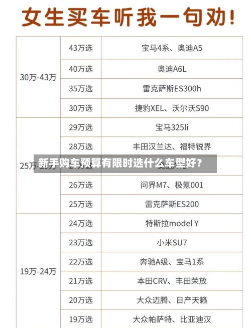 新手购车预算有限时选什么车型好？-第2张图片