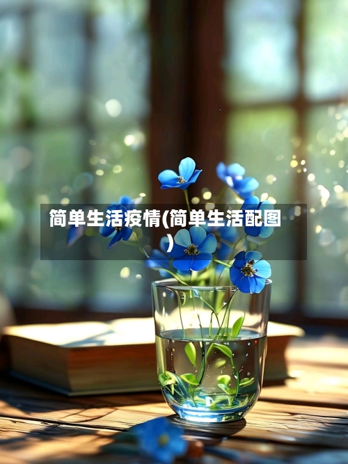 简单生活疫情(简单生活配图)-第2张图片