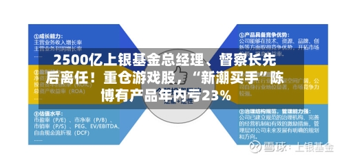 2500亿上银基金总经理、督察长先后离任！重仓游戏股，“新潮买手”陈博有产品年内亏23%